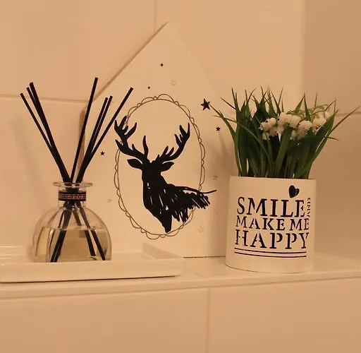 公寓 Raadhuis Egmond